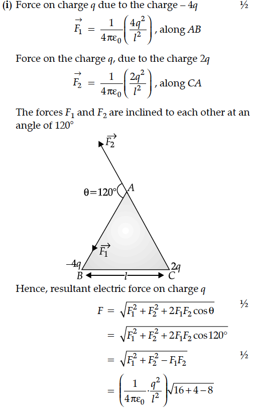 Question 3 Answer-Image